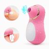 Intense Suction Clitoral Stimulator Female Massager Pink Estimulador Feminino De Seios E Clitóris 10 Velocidades vibradoras femininos