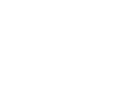 Vibrant Pleasures Co